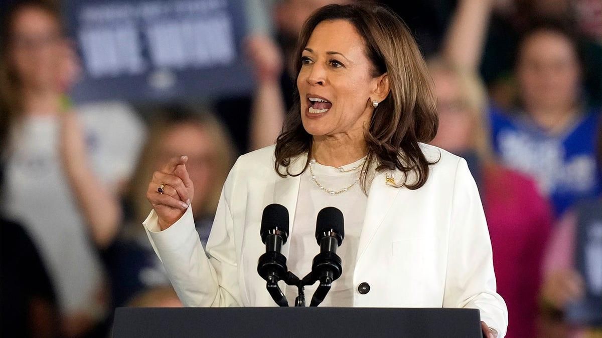 Kamala Harris Launches Massive Ad Campaign Ahead Of Election Day The