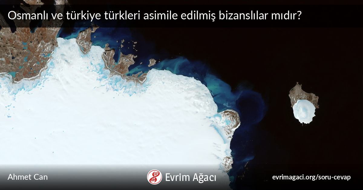 osmanli ve turkiye turkleri asimile edilmis bizanslilar midir soru cevap evrim agaci