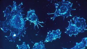 Telomerlere Bakarak Kanseri Tahmin Edebiliriz!
