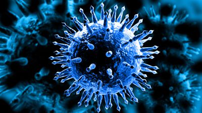 Grip Virüsü, Hamile Kadınların Akciğerlerinden, Vücutlarının Geri Kalanına Yayılabiliyor ve Bebeğe Zarar Verebiliyor!