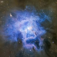 NGC 7023: Süsen Çiçeği Bulutsusu