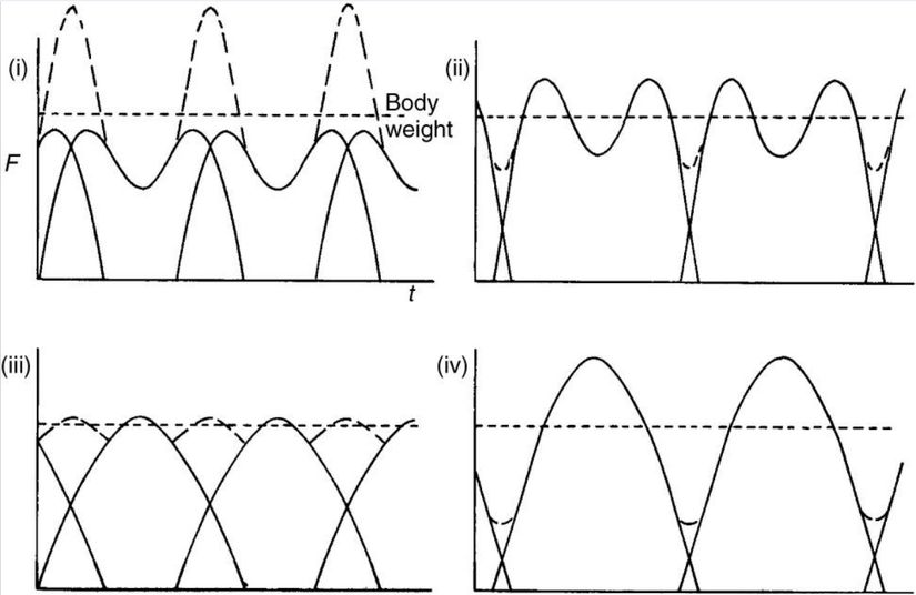 Zemin üzerinde uygulanan dört farklı yürüme tipi için dikey kuvvet( F) -  zaman (t) grafiği.