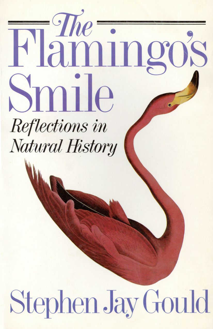 1985’de yayınlanan The Flamingo’s Smile: Reflections in Natural History, Natural History dergisindeki aylık "The View of Life" başlıklı köşesinden derlenen makalelerin dördüncü cildidir. Flamingoyu, 'baş aşağı' yaşamak için evrimleşmiş hayvanlara bir örnek olarak sunuyor ve flamingo gagasının bu değişimini Darwin'in doğal seleksiyon yoluyla Evrim Teorisi’ne kanıt olarak sunuyor.