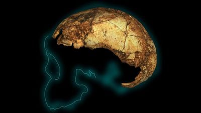 Keşfedilen En Eski Homo erectus Kafatası, 3 Farklı İnsan Türünün Afrika'da Aynı Zamanda Yaşadığını Ortaya Çıkardı!