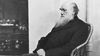 Charles Darwin'in Kendisinden Önce Gelenlerden Sentezlediği ve Kendi Bulgularıyla Geliştirdiği Evrim Teorisi'nin Kısa Bir Özeti