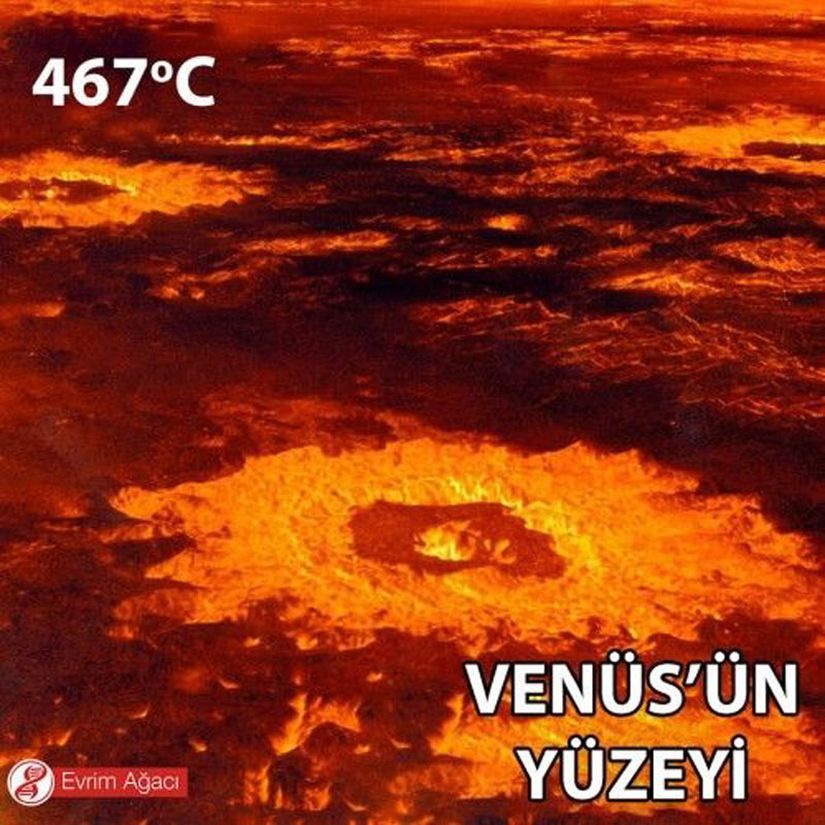 Venüs'ün 467 santigrat dereceyi bulan yüzey sıcaklığı ve Dünya'dakinin 90 katı atmosferik basıncı nedeniyle yüzeyde bulunan kurşunun tamamı eriyiktir. Ayrıca Venüs'ün atmosferinin yüzde 96.5'i karbondioksittir. Kıyas olması bakımından, Dünya atmosferinin %0.04'ü karbondioksittir.
