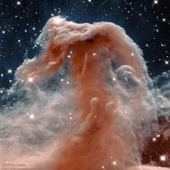  The Horsehead Nebula in Infrared from Hubble 