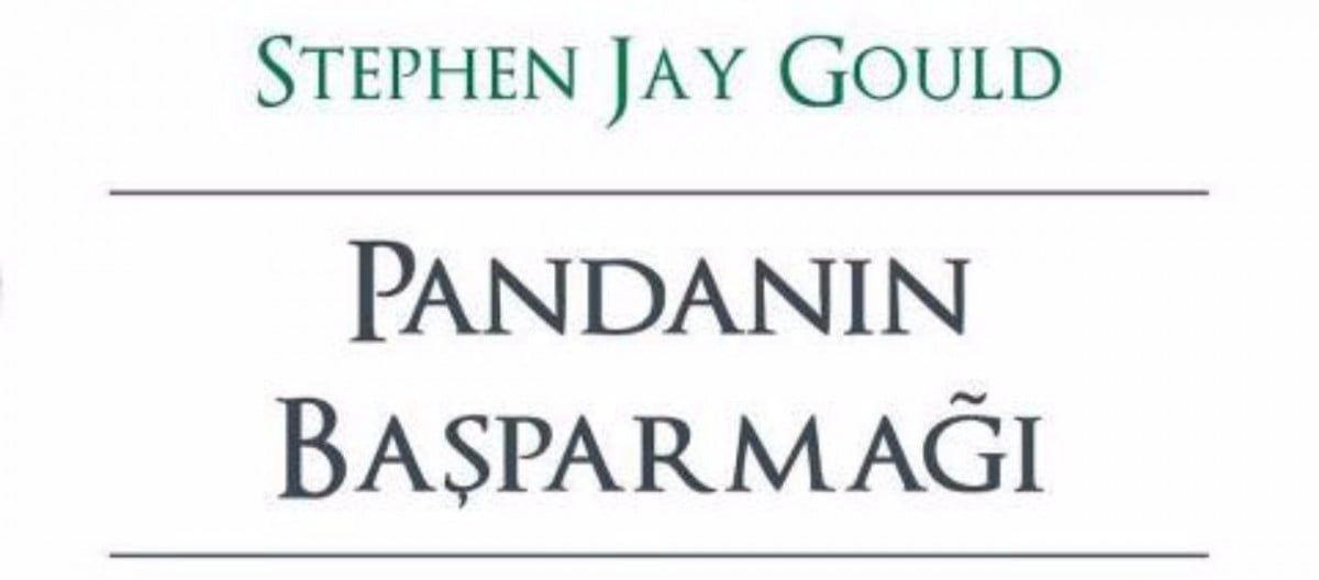 Questioning The Millennium A Rationalist S Guide To A Precisely Arbitrary Countdown By Stephen Jay Gould