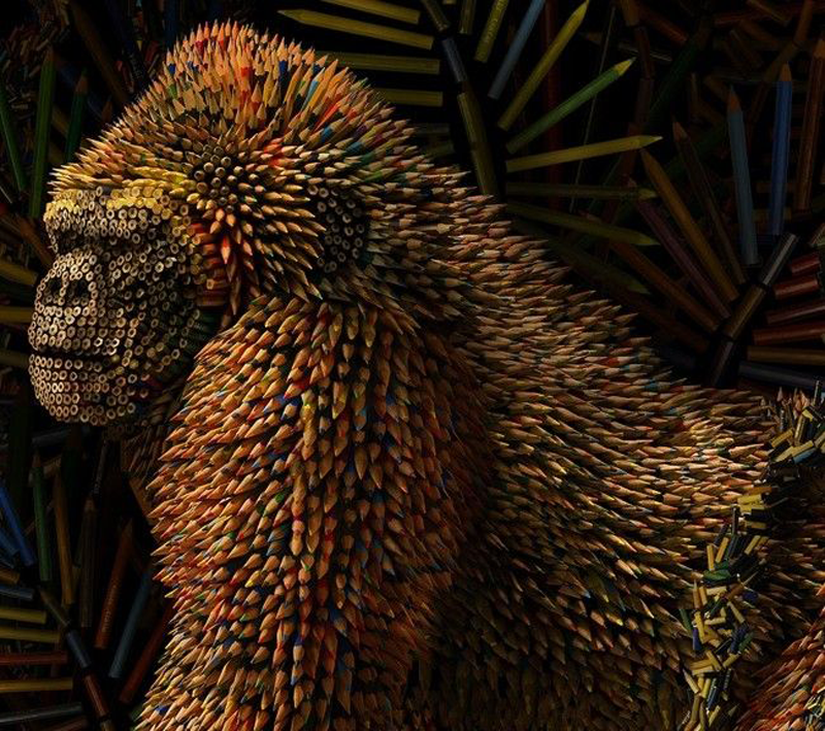 RLR Reklam Firması tarafından Los Angeles Hayvanat Bahçesi için yapılan bir tanıtım çalışması. Çalışmadaki 3 temel parçadan birinde, gorillerin renkli dünyasına ithafen renkli kalemlerden bir goril tasarlanmış. Diğer 2 parça, baykuşların bilgeliğini simgeleyen kitaplardan bir baykuş tasarımı ile fillerin hafızasını simgeleyen bilgisayarlardan bir fil tasarımından oluşuyor.