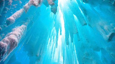 Kutup Denizlerindeki Buzul Tüpler Yaşamın Kökenini Aydınlatma Yolunda İpuçları Sunuyor!