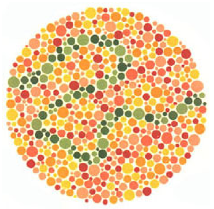 Plaka 31: Normal görüşlüler mavi-yeşil bir çizgi görürler, kırmızı-yeşik renk görüşü yetersizliği olanlar hiçbir şey göremezler.