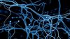 Bilim İnsanları, Nöral Kök Hücrelerini İstenilen Dokuya Yönlendiren Bir İlaç Keşfetti!