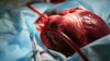 Kan Damarlarını Kaplayan Yeni Bir Teknoloji, Organ Nakillerinde Görülen Organ Reddi Sorununu Azaltabilir!