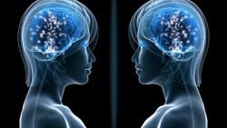 Empatinin Biyolojik Yönü: Ayna Nöronlar