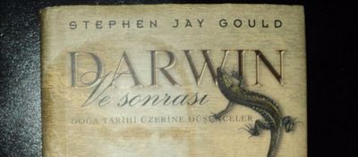 Darwin ve Sonrası - Stephen Jay Gould