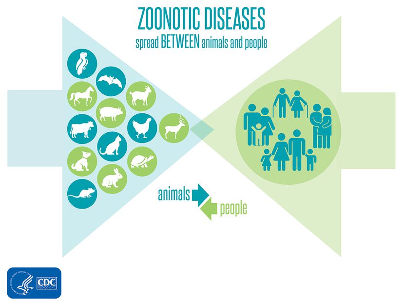 Zoonoz, omurgalı hayvanlardan insanlara geçen ve insanlardan omurgalı hayvanlara geçen herhangi bir enfeksiyon hastalığını tanımlayan terimdir.