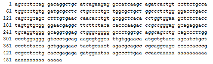 İnsülini kodlayan genetik dizi