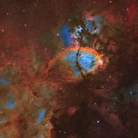  IC 1795: The Fishhead Nebula 