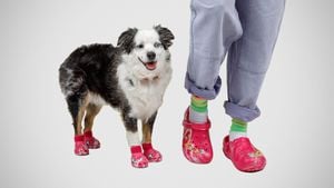 Crocs Unleashes New Pet Footwear For Dogs