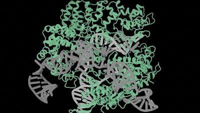 Yapay Zeka, İnsan Genomunu Değiştirebilecek Moleküler Mekanizmalar Üretti!