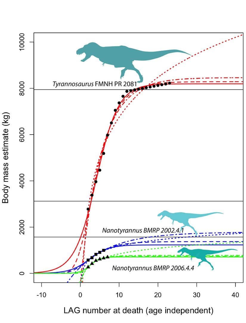 T. rex ile Nanotyrannus'un büyüme eğrilerini karşılaştıran grafik