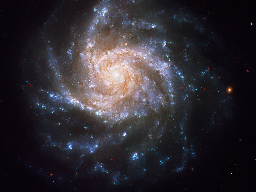 NGC 1376 Spiral Galaksisi