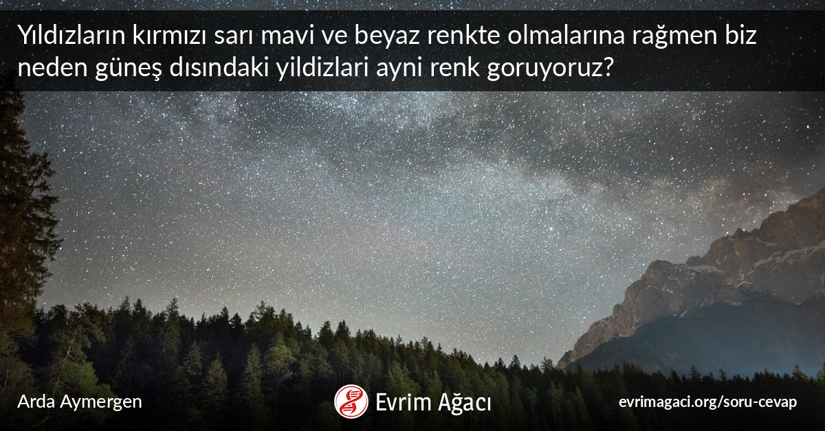 Yildizlar Kirmizi Sari Mavi Ve Beyaz Renkte Olmalarina Ragmen Biz Neden Gunes Disindaki Yildizlari Ayni Renkte Goruyoruz Soru Cevap Evrim Agaci