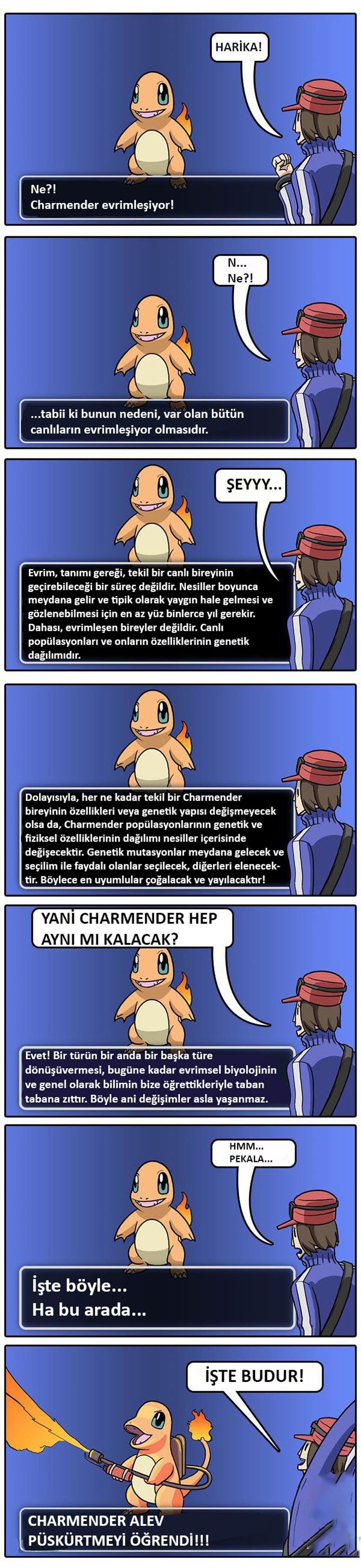 Charmander Ve Evrim Pokemon Evrim Konusunda Ne Kadar Isabetli Evrim Agaci