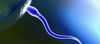Laboratuvarda İlk Defa Sperm Yaratıldı: Kısırlığın Tedavisine Adım Adım...