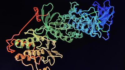 Nöral Ağlar, Yeni Proteinlerin Oluşmasına Yardımcı Oluyor!