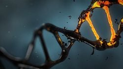DNA ve Evrim: Yaşamın Dilini Okuyup, Anlamayı Öğrenin!