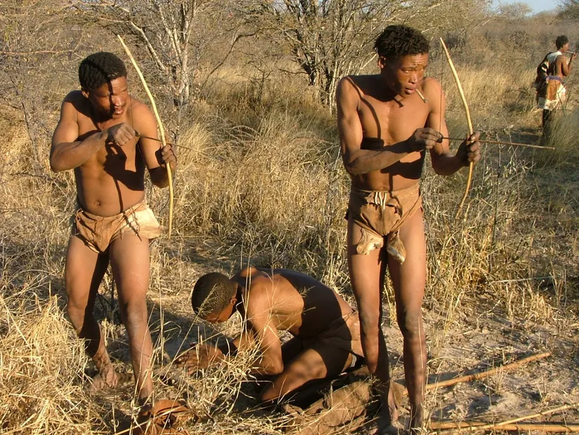 Çağımızda halen hayatta olmalarına rağmen türümüzün antik atalarına en yakın şekilde yaşayan, avlanan, hayatta kalan Khoisan (San) Kabilesi'nin avlanma çabasından bir kare; Günümüz...