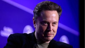 Elon Musk's X Faces Legal Storm Over User Data Privacy