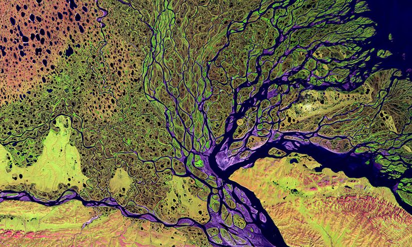Bir nehir deltası, insan evriminin tarihselliğini bir ağaç figüründen daha iyi betimlemektedir.