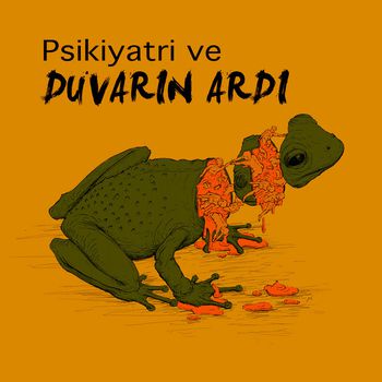 Psikiyatri ve Duvarın Ardı