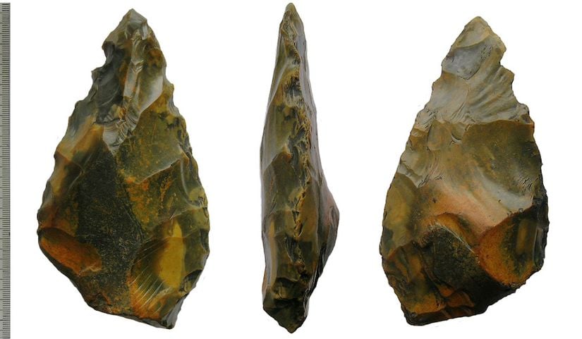H. erectus'ların dikkat çekici gelişimlerinden biri de birden fazla delici ucu bulunan aşölyen el baltalarıdır