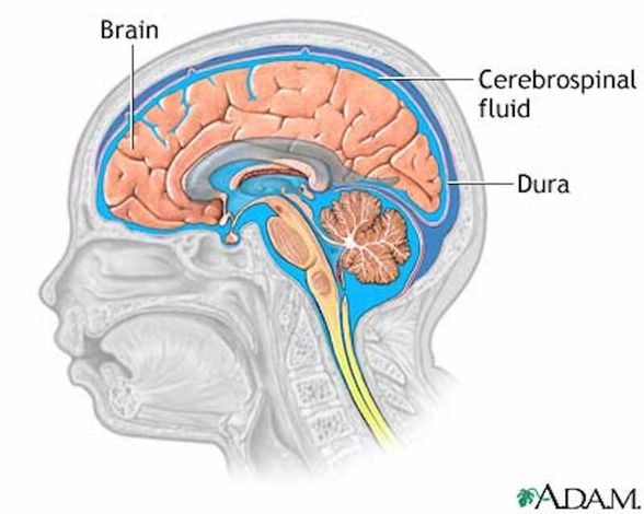 Beyin omurilik sıvısı - Cerebrospinal fluid