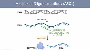 Gene Editing Breakthrough: How Antisense Oligonucleotides Offer New Hope For Timothy Syndrome