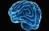 Sinirbilim ve Beyin - 10: Diensefalon (Ara Beyin) - Hipofiz Bezi ve Diğer Diensefalik Yapılar
