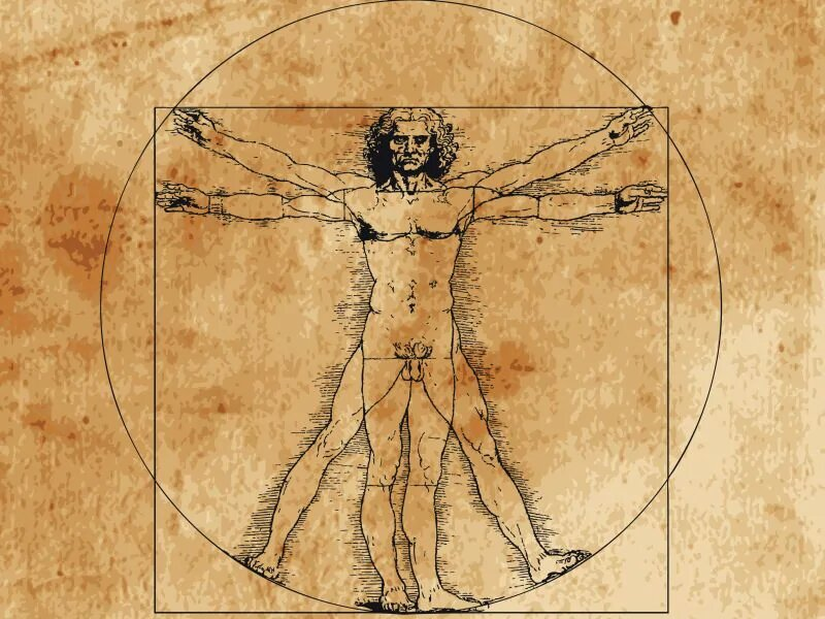 Leonardo Da Vinci'nin Vitruvius Adamı, insan formunun &quot;mükemmelliğine&quot; dayanmaktadır. Ancak bu ideal zamanla değişmiş ve insanlar boyları uzadıkça daha narin ve daha kırılgan bir yapıya ulaşmıştır.