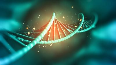Temel Genetik Kavramlar: Nükleotit, DNA, Gen, Kromozom Nedir?