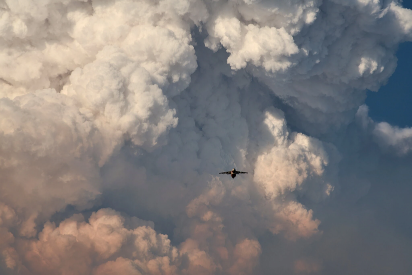 Bir yangınla mücadele uçağı, Bootleg Yangını'nın yarattığı bir pirokümülonimbus bulutunun önünden geçiyor.