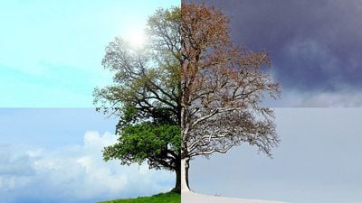 Dünya'nın Eksen Eğikliği ve Mevsimler: Mevsimler Nasıl Oluşur? Dünya Güneş'e En Uzak Konumdayken Neden Yaz Yaşıyoruz?