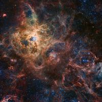  The Tarantula Nebula 