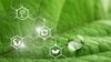 Yeşil Kimya Nedir? Çevreyi, Yaşamı ve Sağlığı Korunmak İçin Kimya Yaklaşımlarımızı 12 İlke Çerçevesinde Nasıl Değiştirebiliriz?