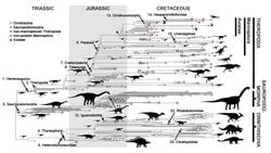 Dinozorlar Kuşlara Evrimleşirken Düzenli Olarak Küçüldüler!