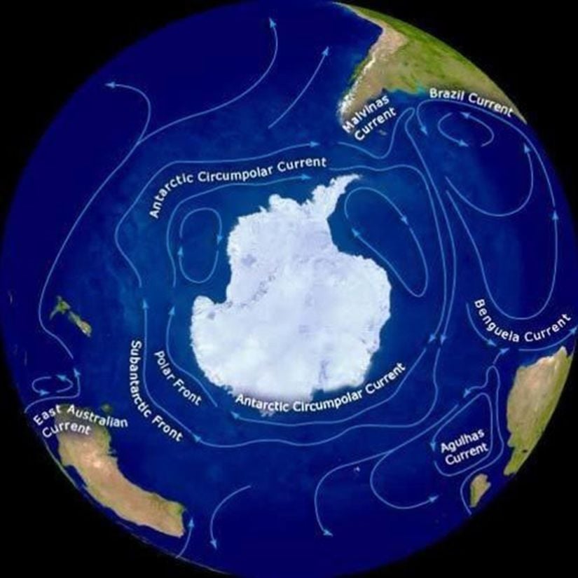 Antarktika'da etkin olan okyanus akıntıları.