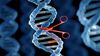 Evinizde CRISPR Makinası Kurup İnsan Genlerini Değiştirmeye Başlayabilir Misiniz?