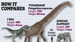 Kıdemli Dinozor: Mavi Bir Balinadan Daha Büyük ve Diplodocus Dippy'den Daha Ağır Tarih Öncesi Canavarın Muazzam İskeleti Tarih Müzesinde Sergilenecek