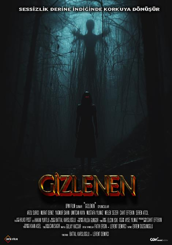 Gizlenen